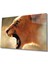 Aslan Hayvan Cam Tablo 4mm Dayanıklı Temperli Cam 1