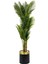 Areka Palmiyesi 220CM Metal Siyah Gold Saksıda 1