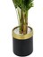 Areka Palmiyesi 220CM Metal Siyah Gold Saksıda 5