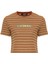 Kadın Çizgili Crop T-Shirt 1