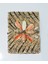 Renkli Deniz Kabuğu ve Kestane Iğnesi Süslü El Yapımı Takı Mücevher Kutusu 18X13 cm - MKT22 2