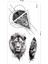 Lion Geometrik Aslan Dövmesi Unisex Tattoo 4