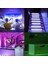 10M Rgb Işık 3528 600LED Esnek LED Işık Şeridi, Cadılar Bayramı Noel Için 44 Anahtar Uzaktan Kumandalı (Ab Tak) (Yurt Dışından) 3