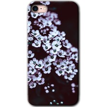 Gramaphone Apple iPhone 7 Kılıf Hd Desen Baskılı Arka Kapak + Kırılmaz Cam - Beyaz Çiçek