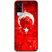 Gramaphone Vivo Y53S Kılıf Hd Desen Baskılı Arka Kapak - Albayrak 2