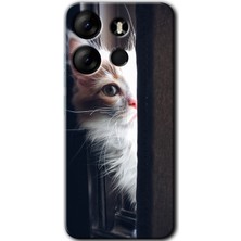 Gramaphone Tecno Spark Go 2023 Kılıf Hd Desen Baskılı Arka Kapak + Kırılmaz Cam - Kedi Bakışı