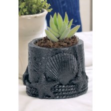 Kaktüs Saksı Dünyası El Yapımı Saksı Siyah Dekoratif Saksı Küçük Boy Model 5
