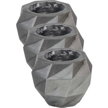 Kaktüs Saksı Dünyası El Yapımı Saksı Gümüş Eskitme Premium Kalite Dekoratif Saksı Dönen Poly