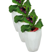 Kaktüs Saksı Dünyası El Yapımı Saksı Seti Beyaz Premium Kalite 3 Adet Dekoratif Saksı Uzun Poly