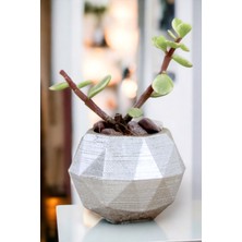 Viselia Premium Saksı Minyatür Dekoratif Kaktüs Sukulent Saksısı Model 8