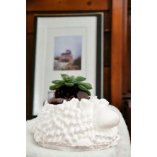 Viselia Premium Saksı Minyatür Dekoratif Kaktüs Sukulent Saksısı Model 6