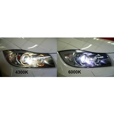 Bmw X3 Xenon Oto Ampulü Photon D2S 4300K E83 (2004-2010)