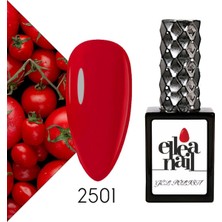 Ellea Nail Kalıcı Oje 2501