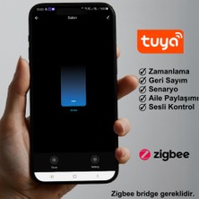 Novato Tuya Ve eWelink Uyumlu Zigbee Akıllı Anahtar (10A - 220V Röle) Tek Çıkışlı, Anahtar Girişli, Google Asistan, Alexa Home Assistant Zigbee2MQTT ZHA Destekli Switch