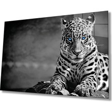 Bay Çağrı Çita Hayvan Portresi Cam Tablo, Ev ve Ofis Duvar Dekoru, Hediyelik Büyük Temperli 4 mm Cam Tablo