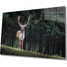 Bay Çağrı Geyik Cam Tablo