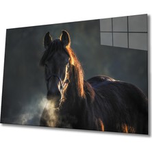 Bay Çağrı At 1 Cam Tablo