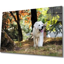 Bay Çağrı Köpek Cam Tablo