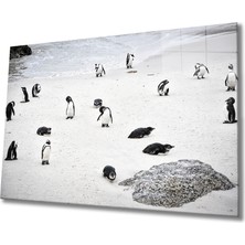 Bay Çağrı Penguen Cam Tablo