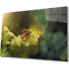 Bay Çağrı Kelebek 2 Cam Tablo