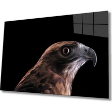 Bay Çağrı Şahin Kuş Hayvan Cam Tablo