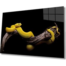 Bay Çağrı Yılan 3 Hayvan Cam Tablo