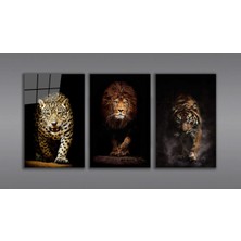 Bay Çağrı Aslan,kaplan,jaguar 3 Lü Set Cam Tablo