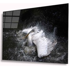 Bay Çağrı Pelikan Cam Tablo 4mm Dayanıklı Temperli Cam