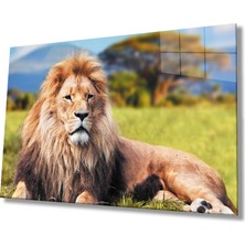 Bay Çağrı Aslan Hayvan Cam Tablo 4mm Dayanıklı Temperli Cam