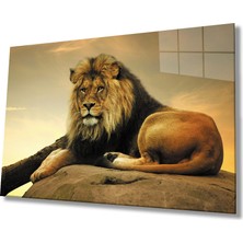 Bay Çağrı Aslan Hayvan Cam Tablo 4mm Dayanıklı Temperli Cam