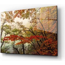 Bay Çağrı Doğa Manzara Cam Tablo 4mm Dayanıklı Temperli Cam