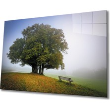 Bay Çağrı Çınar Cam Tablo