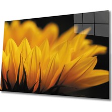 Bay Çağrı Ay Çiçeği 2 Cam Tablo