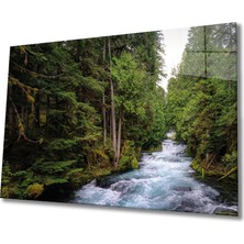 Bay Çağrı Doğa Cam Tablo