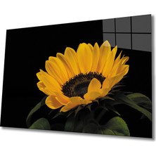 Bay Çağrı Ay Çiçeği 1 Cam Tablo