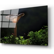 Bay Çağrı Mantar 2 Cam Tablo