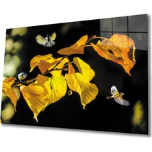 Bay Çağrı Manzara 2 Cam Tablo