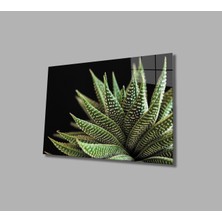 Bay Çağrı Alovera Cam Tablo