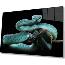 Bay Çağrı Yılan 5 Hayvan Cam Tablo