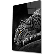 Bay Çağrı Kaplan Hayvan Siyah Beyaz Cam Tablo