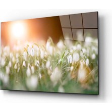 Bay Çağrı Doğa Manzara Cam Tablo 4mm Dayanıklı Temperli Cam