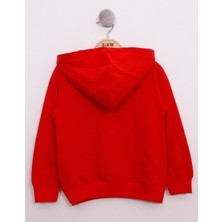 Toontoy Kids Toontoy Erkek Çocuk Pullu U.s.a Bayraklı Nakışlı Sweatshirt