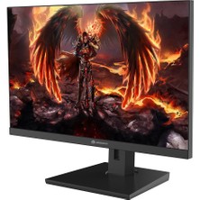 GameBooster GB-2419FF 23.8" 180Hz 1ms SS IPS FHD FreeSync, G-Sync HDMI*1+DP*1Flat Gaming Monitör