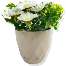 Yapay Mini Saksıda Sarı Mineli Papatya 15 cm Krem Saksı