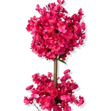 Fuşya Bahar Dalı 100 cm 12X12 Metal Saksı