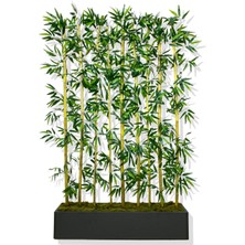 Bambu Seperatör 180 cm 9 Adet Bambu 100 cm Antrasit Saksı