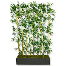 Bambu Seperatör 180 cm 9 Adet Bambu 100 cm Antrasit Saksı