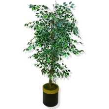 Ficus 180 cm Yapay Ağaç 30X30 Gold Kemerli Saksı