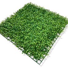 U.v Dayanımlı Yapay Şimşir Bitki Duvar Kaplama 50X50 cm Yeşil