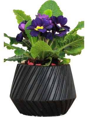 Evene Çiçek Saksısı Beton Saksı Model Dişli